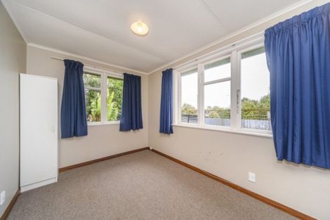 Photo of property in 115 Limbrick Street, Terrace End, Palmerston North, 4410