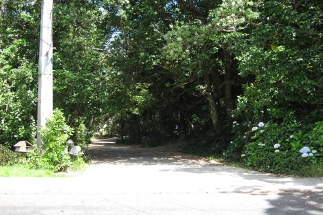 Photo of property in 119 Motutara Road, Muriwai, Waimauku, 0881