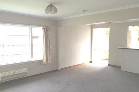Photo of property in 141 Sparks Road, Hoon Hay, Christchurch, 8025