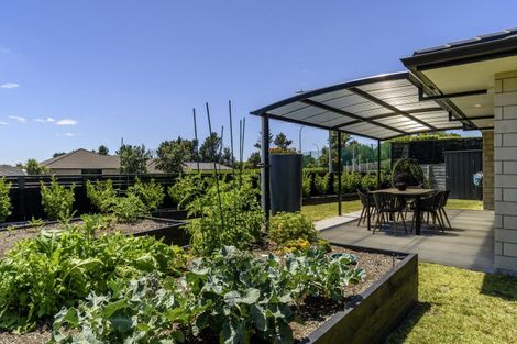 Photo of property in 3 Beggs Lane, Pyes Pa, Tauranga, 3112