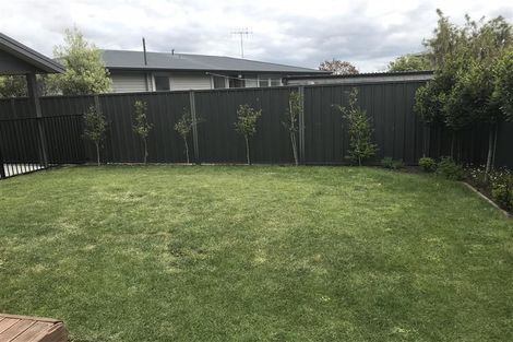 Photo of property in 41a Elliott Crescent, Havelock North, 4130