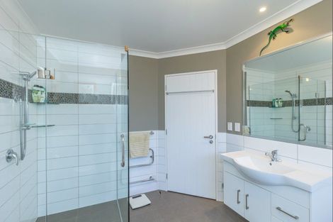 Photo of property in 63 Winchester Street, Levin, 5510