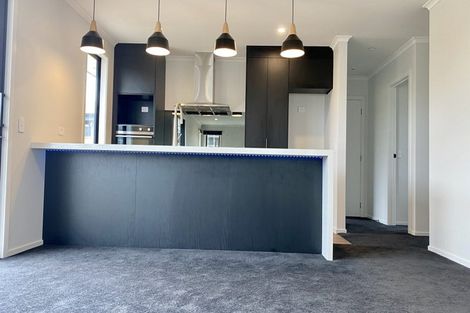 Photo of property in 19 Ascot Street, Richmond, 7020