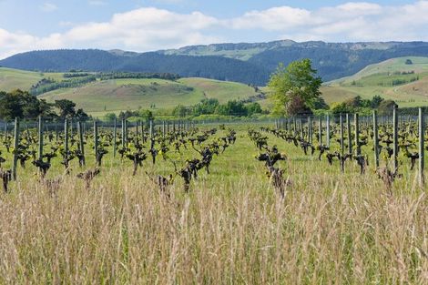 Photo of property in 35 Brighton Street, Island Bay, Wellington, 6023