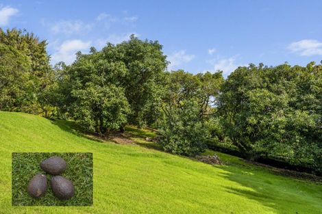 Photo of property in 10 Zapote Place, Ohauiti, Tauranga, 3112