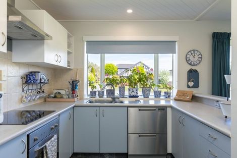 Photo of property in 17 Elisha Drive, Witherlea, Blenheim, 7201