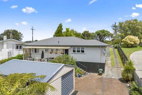 Photo of property in 45 Gorge Road, Maungaturoto, 0520