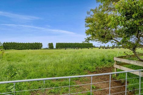 Photo of property in 325a Awai Road, Tarurutangi, New Plymouth, 4372