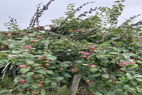 Photo of property in 59a Selwyn Street, Pohara, Takaka, 7183