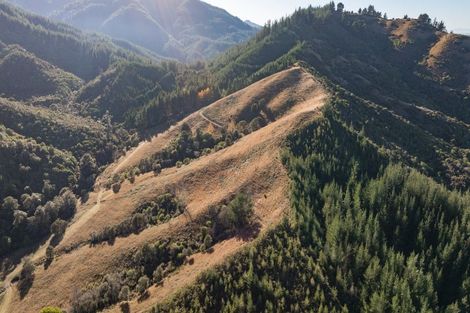 Photo of property in 168 Graham Valley Road, Motueka Valley, Motueka, 7196