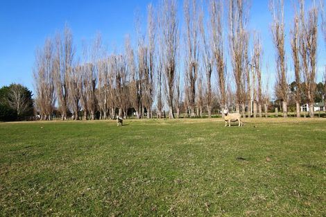 Photo of property in 24b Cameron Road, Makauri, Gisborne, 4071