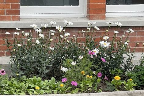 Photo of property in 69 Balaclava Street, Wyndham, 9831