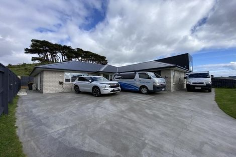 Photo of property in 67 Queen Charlotte Drive, Aotea, Porirua, 5024