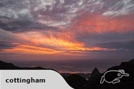 Photo of property in 122 Lone Kauri Road, Karekare, New Lynn, 0772