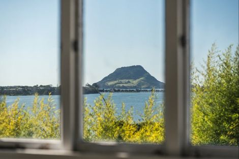 Photo of property in 113 Twelfth Avenue, Tauranga South, Tauranga, 3112