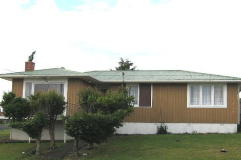 Photo of property in 16 Adriatic Avenue, Henderson, Auckland, 0612