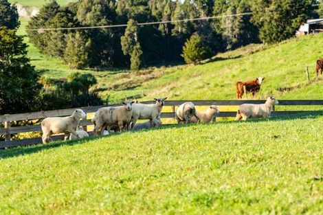 Photo of property in 168b Golden Stairs Road, Maungaturoto, 0589