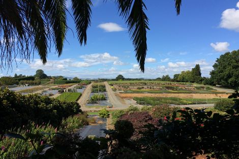 Photo of property in 99 Lyon Street, Kihikihi, Te Awamutu, 3800