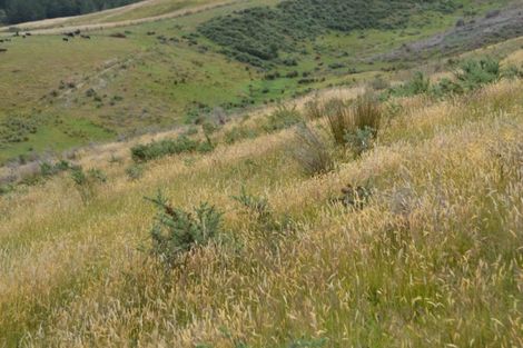 Photo of property in 743 Bay Road, Oxford, 7430