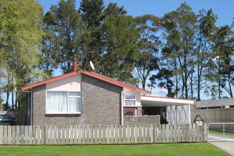 Photo of property in 5 Leather Street, Huntly, 3700