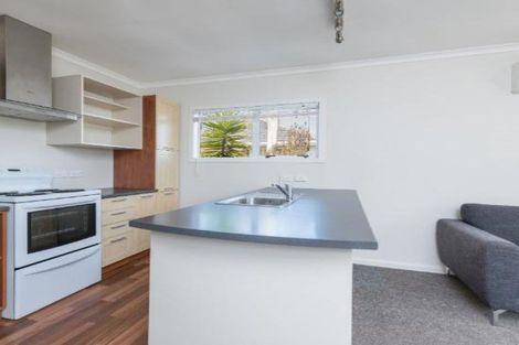 Photo of property in 19 Elizabeth Street, Richmond, 7020