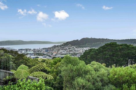 Photo of property in 7 Asquith Terrace, Brooklyn, Wellington, 6021