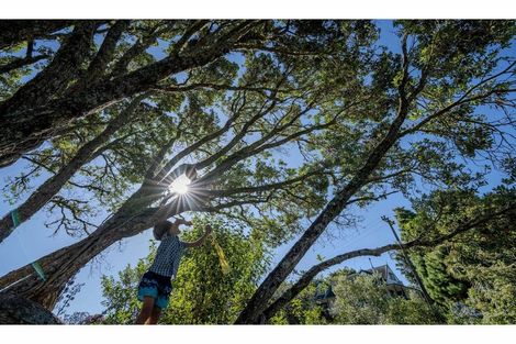 Photo of property in 45 Kemp Road, Kerikeri, 0230