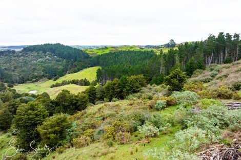 Photo of property in 623 Bickerstaffe Road, Maungaturoto, 0587