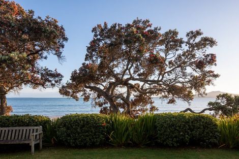 Photo of property in 25 Park Avenue, Takapuna, Auckland, 0622