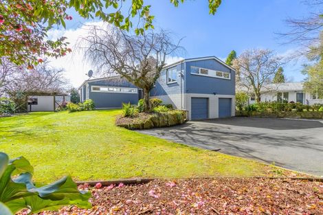 Photo of property in 7 Portsmouth Place, Matamata, 3400