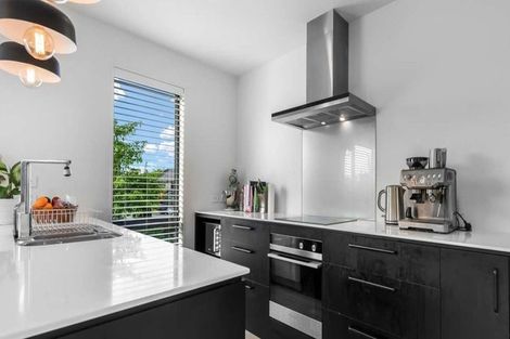 Photo of property in 47 Berryfield Drive, Richmond, 7020