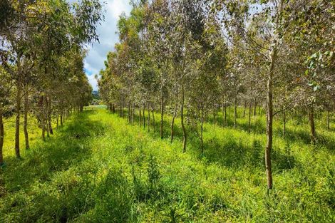 Photo of property in 25 Cookson Road, Tikitere, Rotorua, 3074