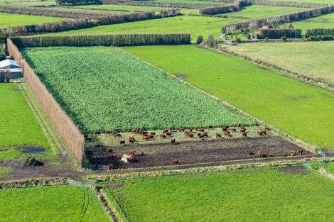 Photo of property in 117 Swamp Road, Springston, Christchurch, 7677