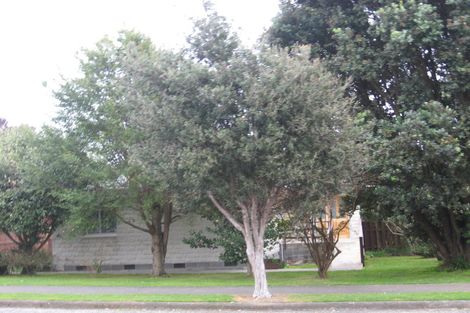 Photo of property in 165 Tiro Tiro Road, Levin, 5510