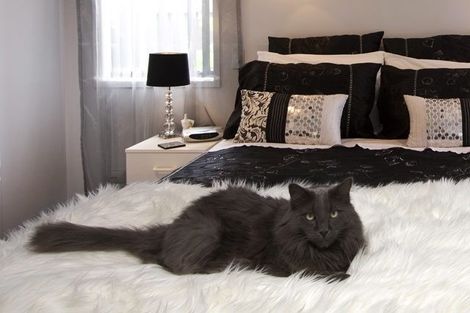 Photo of property in 18 Bill Miller Drive, Papamoa, 3118