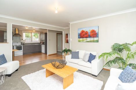 Photo of property in 3 Forsyth Street, St Andrews, Hamilton, 3200