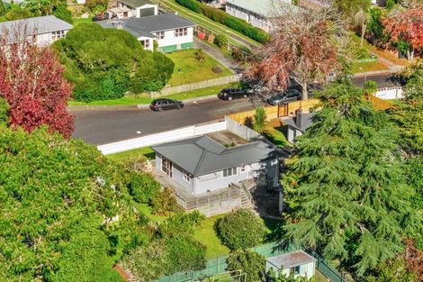 Photo of property in 36 Mildmay Road, Henderson, Auckland, 0610