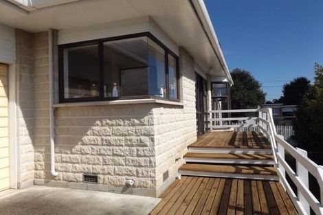 Photo of property in 147 Bath Street, Levin, 5510