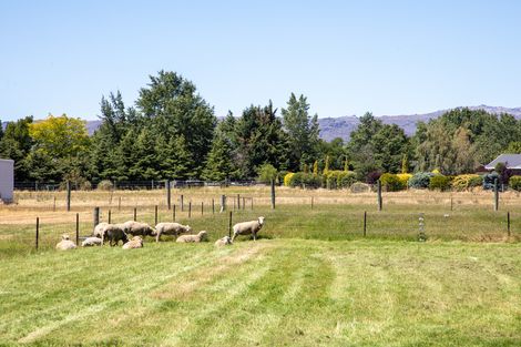 Photo of property in 171 Airport Road, Alexandra, 9391