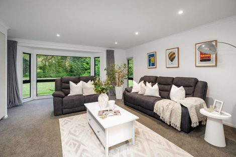 Photo of property in 97 Butcher Road, Matangi, Hamilton, 3284