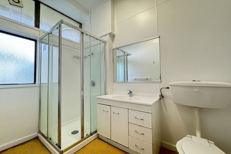 Photo of property in Te Awhina Apartments, 3/22 Sussex Street, Mount Cook, Wellington, 6021