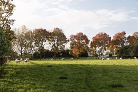 Photo of property in 761 Great South Road, Runciman, Drury, 2578