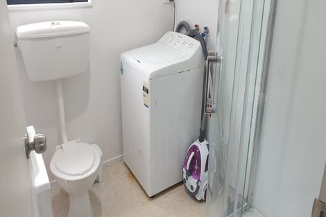 Photo of property in 14 Duddingstone Steps, North East Valley, Dunedin, 9010