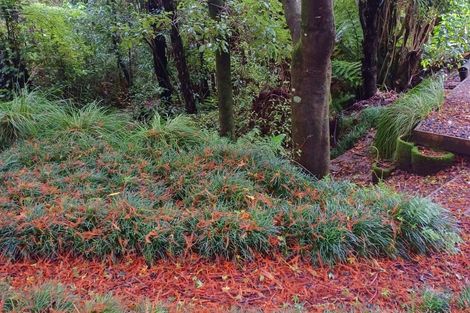 Photo of property in 480b Youngson Road, Whakamarama, 3179