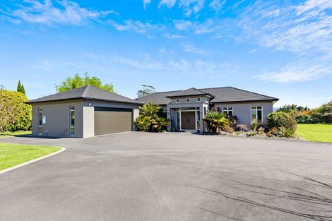 Photo of property in 37b Moffat Road, Bethlehem, Tauranga, 3110