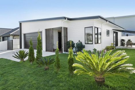 Photo of property in 61 Goodwin Crescent, Pyes Pa, Tauranga, 3112