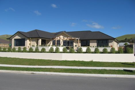 Photo of property in 7 Ashwood Drive, Witherlea, Blenheim, 7201