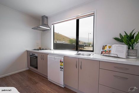 Photo of property in 46 Perriam Place, Mount Pisa, Cromwell, 9383