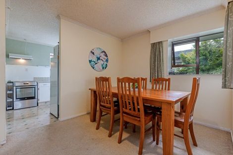 Photo of property in 115c College Street, Awapuni, Palmerston North, 4412