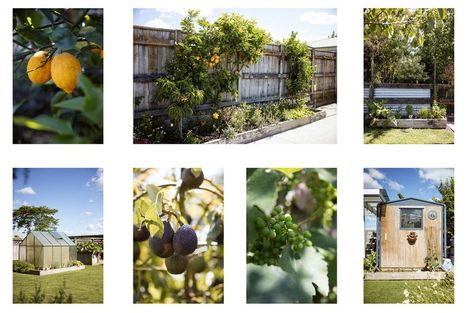 Photo of property in 58b Wilson Road South, Paengaroa, 3189